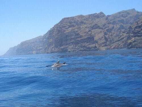 El Paraiso En Los Gigantes Santiago del Teide Exterior foto