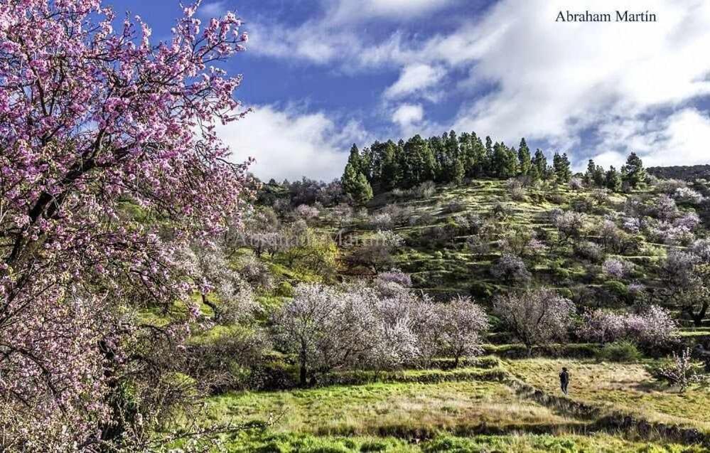 El Paraiso En Los Gigantes Santiago del Teide Exterior foto