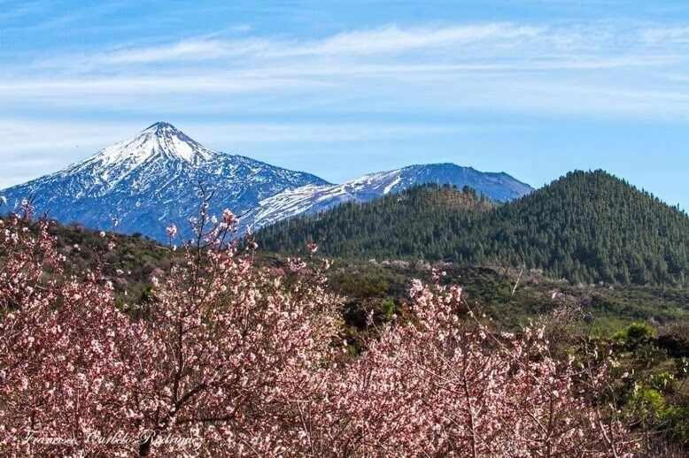 El Paraiso En Los Gigantes Santiago del Teide Exterior foto